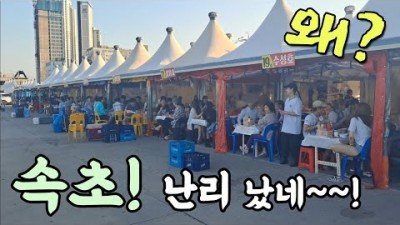 강원도 속초 오징어 난전 어시장 가볼만한 곳, 오징어 통찜, 오징어 회, 오징어 야채 무침 가격내린 속초 나전 어시장 정보