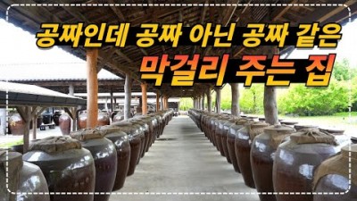 포천 전통 술 박물관(배상면주가), 시음주와 안주를 무제한(유료시음주포함)으로 즐기며 막걸리 한병까지 받는 포천 가볼만한 곳 느린마을 산사원 갈만한 곳 정보