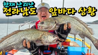 민어 낚시 전남 고흥 외나로도 선상 민어 외수질 낚시 장비 채비 미끼 및 조황 정보