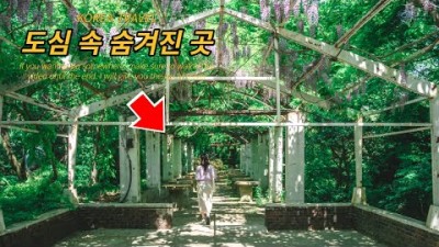 수도권 당일치기 수원 여행 가볼만한 곳, 월화원, 삼풍가든, 수원화성, 화홍문, 방화수류정 아름다운 비밀의 정원 사진찍기 좋은 여행지 갈만한 곳 정보