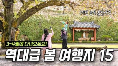 봄꽃 여행 갈만한 곳, 매화마을,산수유마을,화엄사,경화역,여좌천,백운대,월출산 유채밭,만석보,삼향천,무거천,보현사,선암호수공원,봉황대공원,대교공원,골정저수지 봄꽃여행지 정보