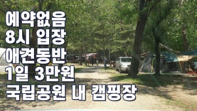 충청북도 캠핑 가볼만한 곳, 국립공원 애견동반 가능, 예약없는 숲속 캠핑장 가볼만한 곳 속리산 사내리야영장 정보