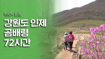 천사의 화원 청전계곡 야생화가 지천으로 널린 가봐야할 곳, 강원도 인제 곰배령 72시간 여행정보 [여행다큐 KBS20200529 걸어서 세계속으로]