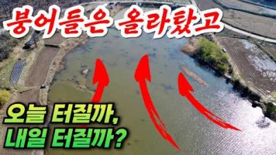 의성 붕어 낚시 갈만한 곳, 봄 민물 낚시 붕어 낚시 의성 개천지 붕어 낚시 포인트 및 조황 정보