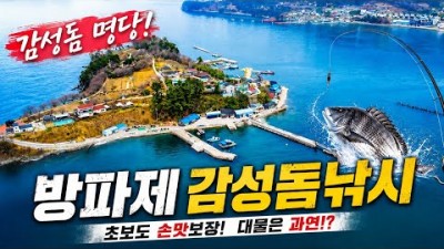 거제 저도 감성돔 낚시 갈만한 곳, 저도 방파제 감성돔 낚씨 포인트 및 채비 조황 정보